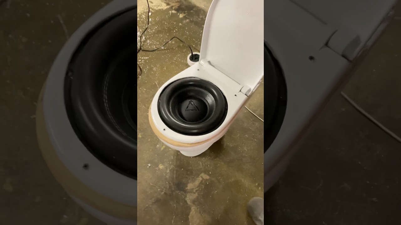 Саб в унитаз, какой будет результат? 