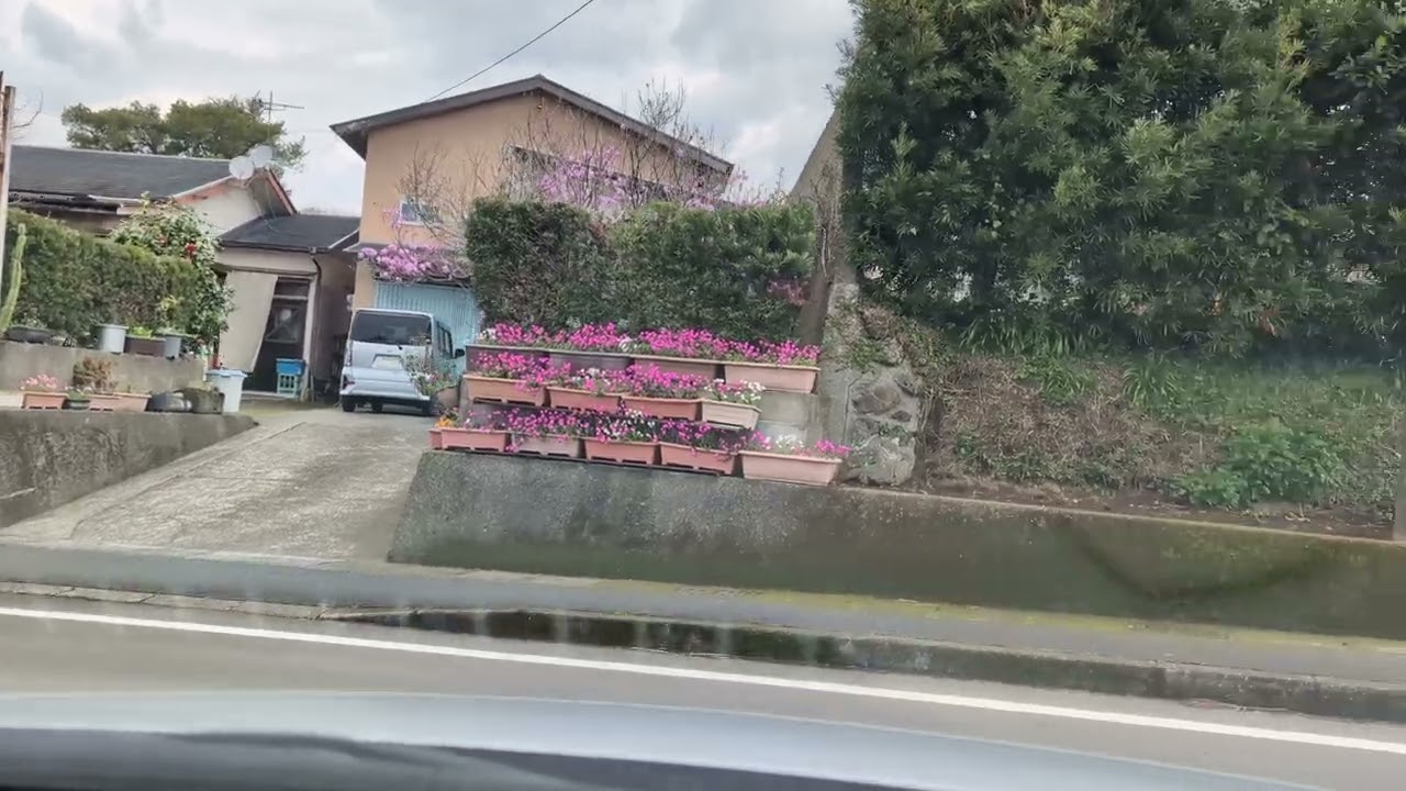 高田みづえさん故郷ドライブ　撮影2025年3月19日12時05分　＃高田みづえ　＃南九州市頴娃町別府