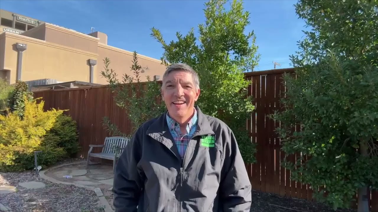 Сухая почва, а не холодная погода, является основной причиной повреждений газона от замерзания зи...