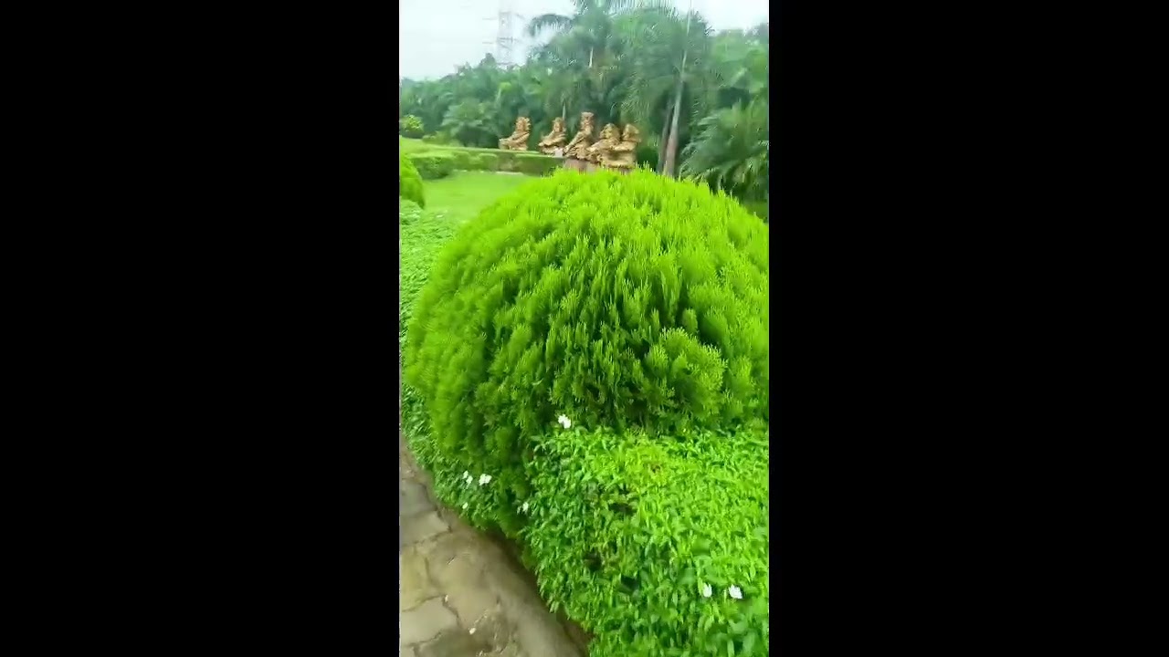 free entry  park #***