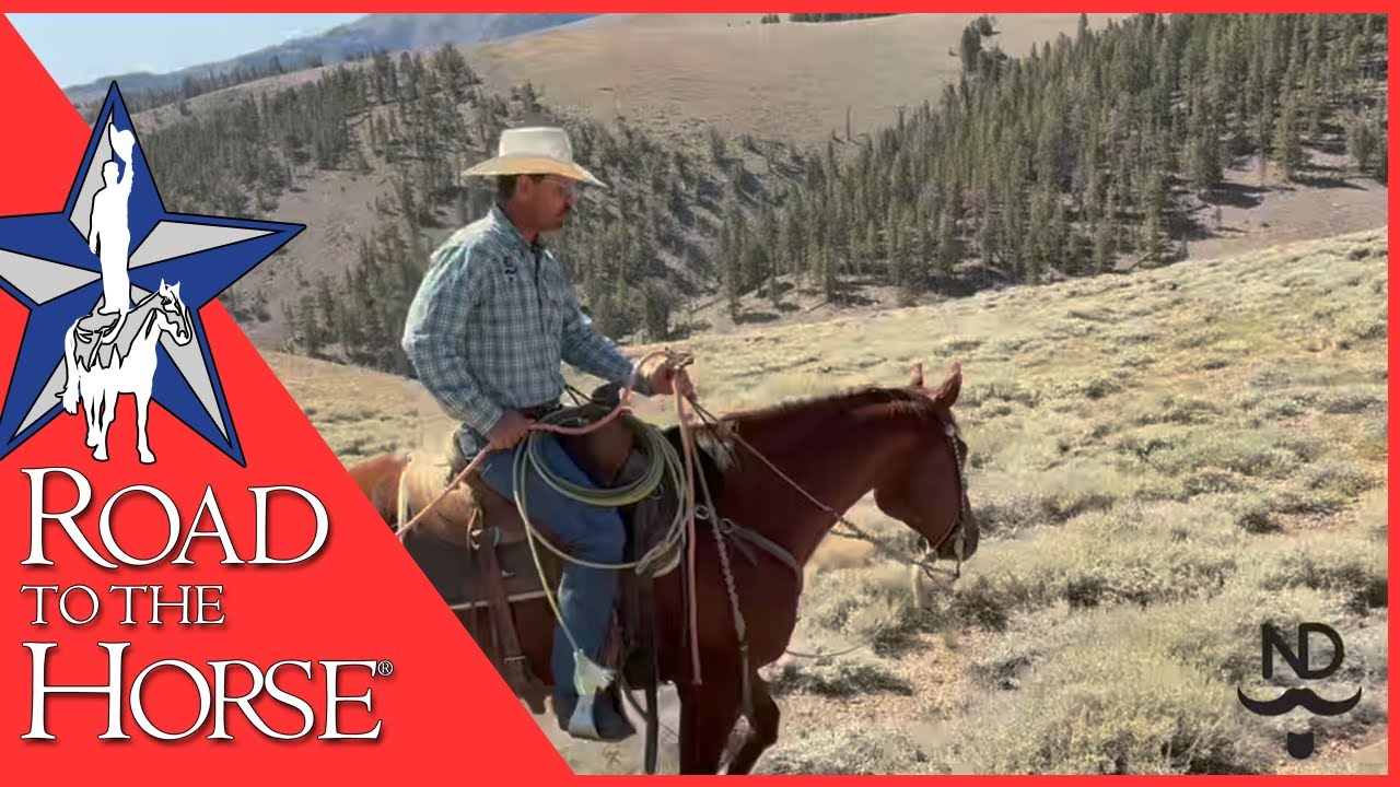 Nick Dowers Completes the Road to the Horse 2026 Championship Competitor Lineup