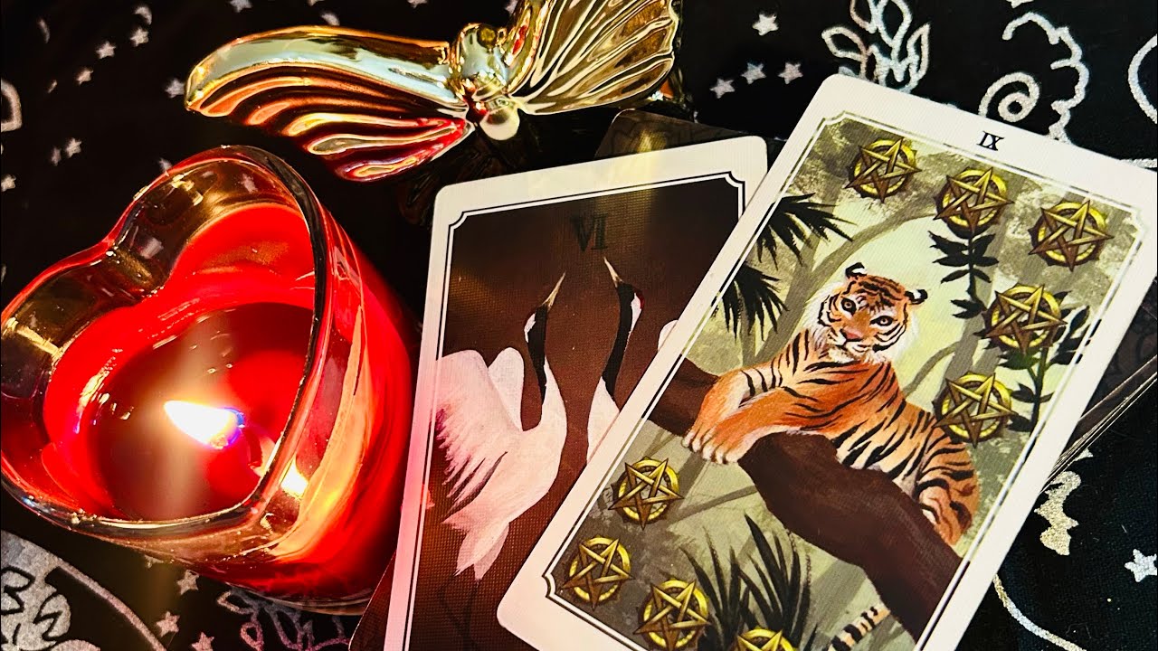 Jak ta osoba Cię teraz widzi ? Ala jazda to czytanie 😉😂 NIEDZIELNA HERBATKA 🦋#tarot #czytanietarota 