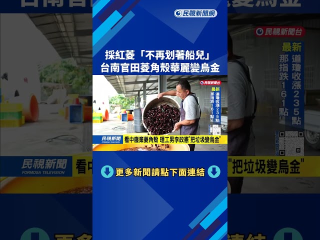 採紅菱「不再划著船兒」　台南官田菱角殼華麗變烏金－民視新聞