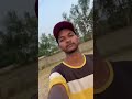 Poultry farm bussiness Day 5 😍 5/40 #short #shortvideo #poultryfarming #bussiness #kamranvlogs100