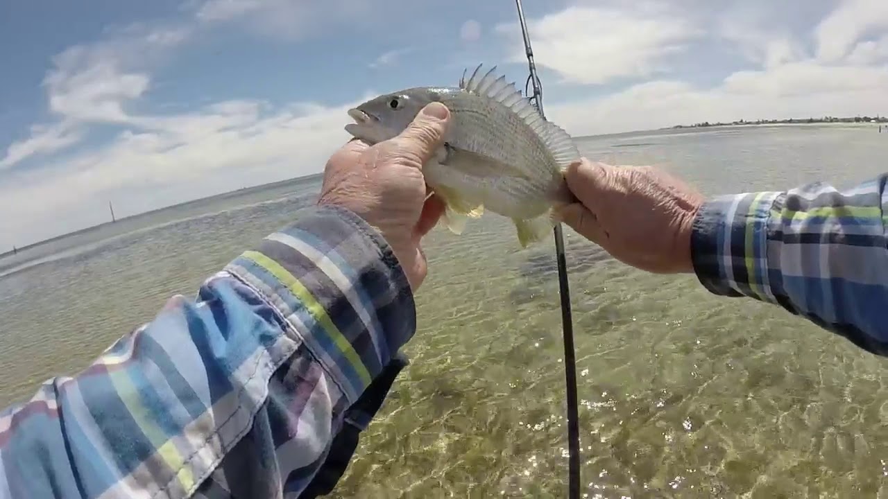 Kingston Park (Sth Aust) Yellowfin Whiting (9 March 2020)