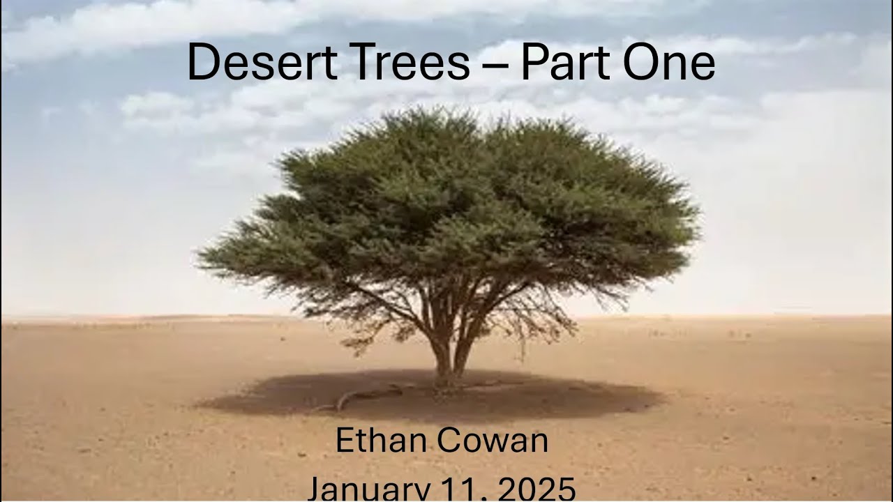 1 11 2026   Desert Trees   Part One