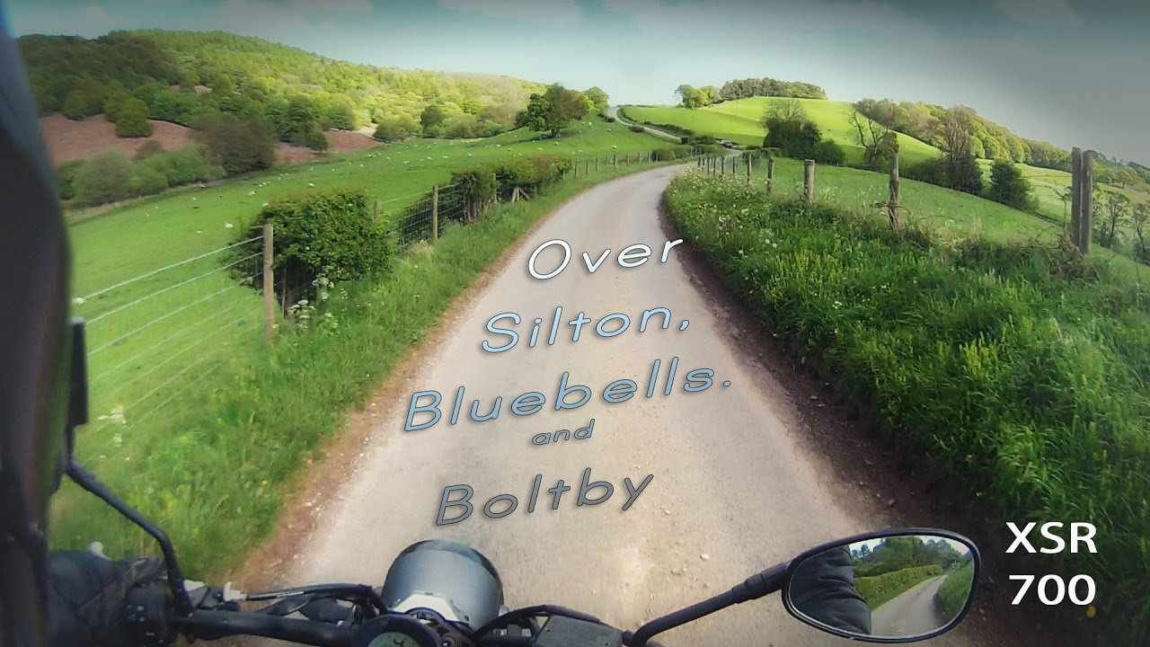 Over Silton - Bluebells - Boltby