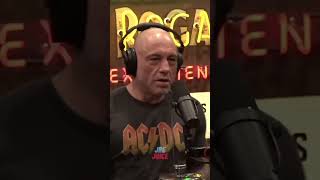 Python Problem in the Everglades | Joe Rogan #shorts