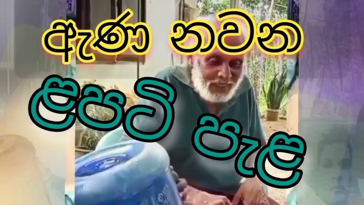 ඇණ නවණ ළපටි පැළ / ena nawana lapati pela /දොඹගහවත්ත