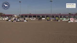 Desert 2 - Consentida