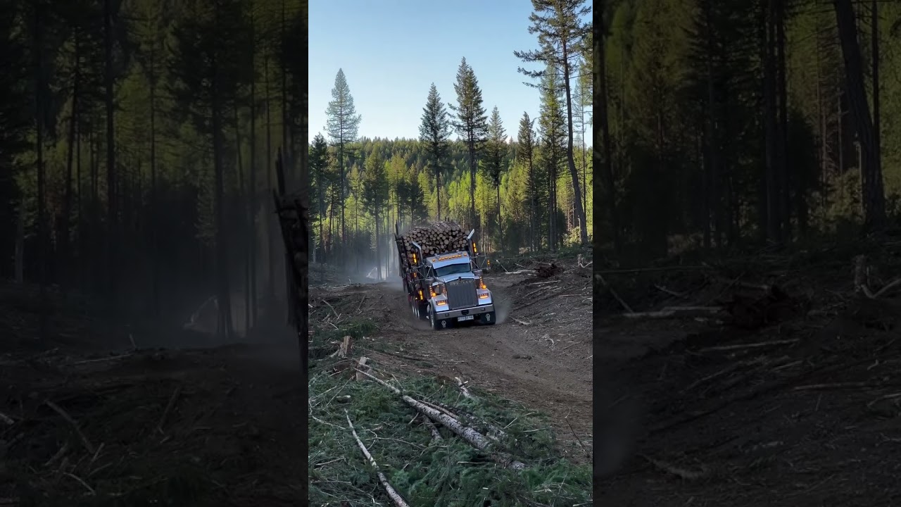 heavy 🪨 haul Kenworth log truck 🚒 