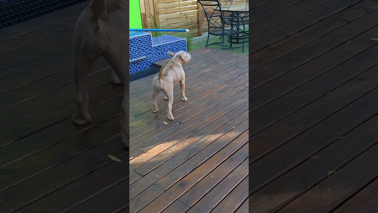 Lula gets a new hairstyle when she's Angry