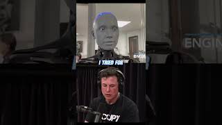 Elon Musk Interview On Ai Regulation  Joe Rogan Podcast