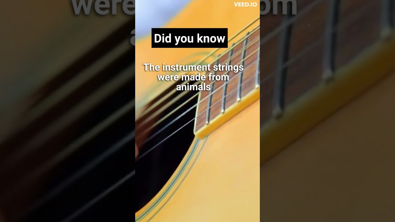 Did you know instrument strings were made from animals?