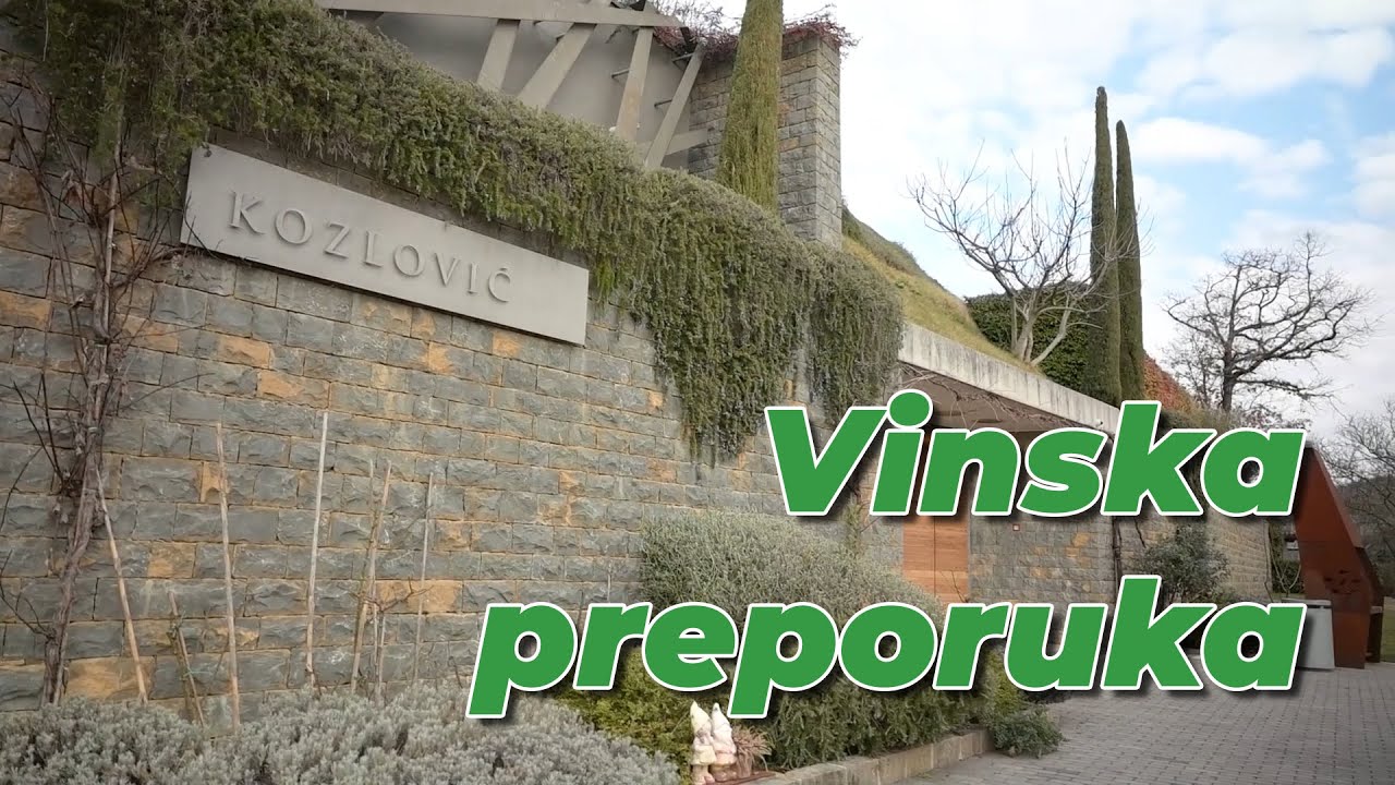 Mlada malvazija vinarije Kozlović