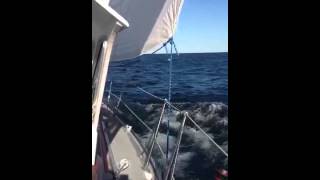 Against The Wind Sabre 34