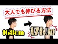 【3センチUP】大人でも身長が伸びる！？たった数分で身長を伸ばすためのストレッチ