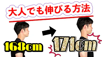 一瞬で 3センチ たった3つのストレッチで脚が長くなる Mp3