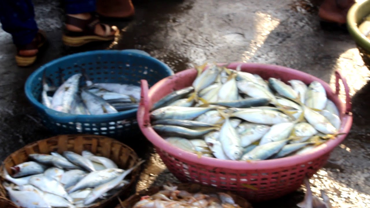 Harne Bander - Fish Market.
