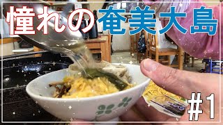 奄美大島へ旅行に行ってきました。今回のJALダイナミックパッケージツアーを利用してます。初日のホテルはかなり良い感じ！