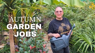 видео: Октябрь в тропическом саду🌴🌿🌺 картинка: Октябрь в тропическом саду🌴🌿🌺