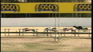 Angle Park 26122013 Race 10