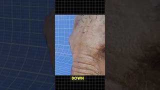 9mm vs Elephant – What Really Happens?