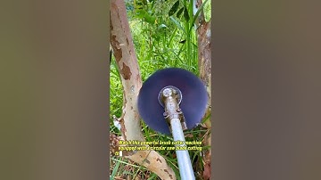 Extreme Brush Cutter with Circular Saw Blade | Cutting Trees Like a Chainsaw.