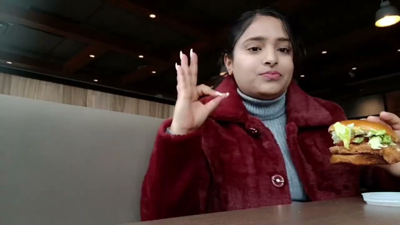 Niagara falls Mini vlog| Mini Vlog| The Kreeti | 