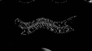 Klasky Csupo In 4Ormulator F