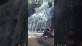 Hiking Nairobi’s Karura Forest