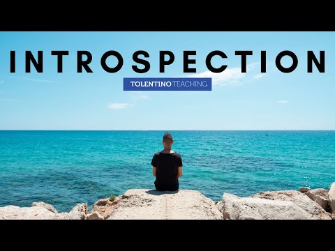 Word of the Day: Introspection