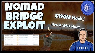 Cardano Impact From $190M Nomad Bridge Hack ☠