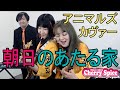 🎸【朝日のあたる家】アニマルズカヴァー 🍒 Haruka with Cherry Spice