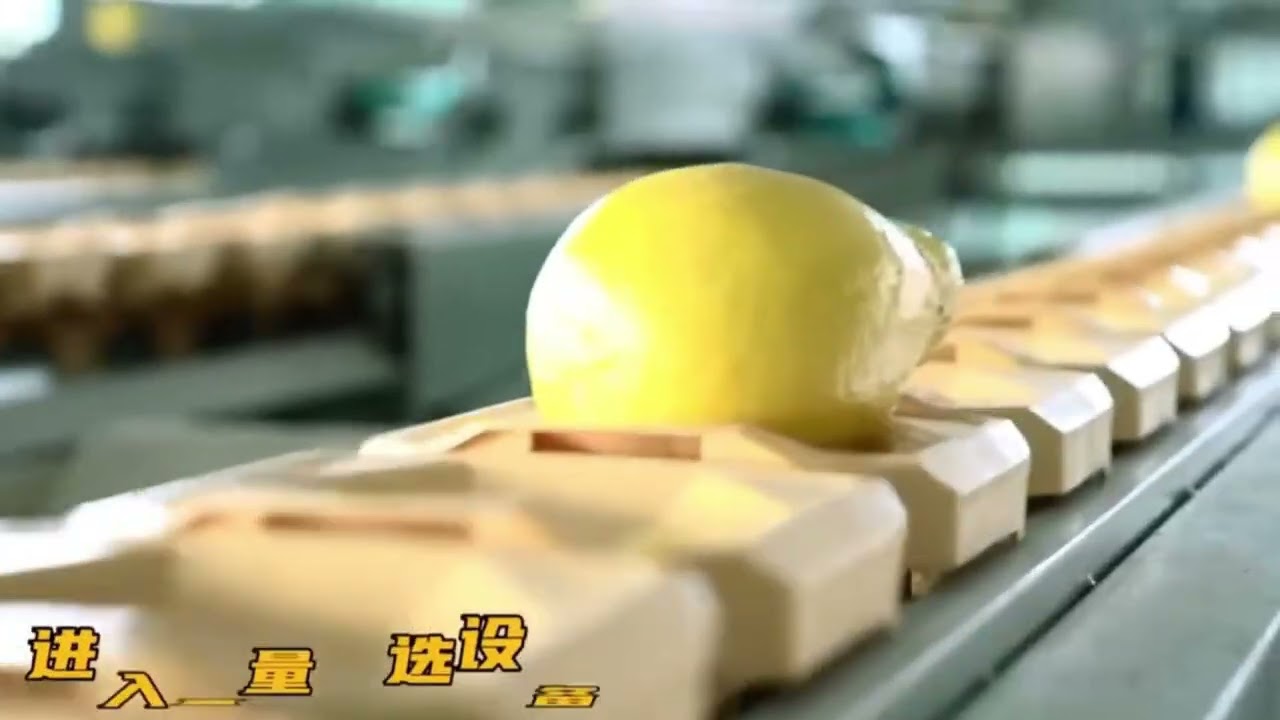 Pomelo chain cup sizer