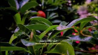 Hayyul Hadi | Cinematic 2