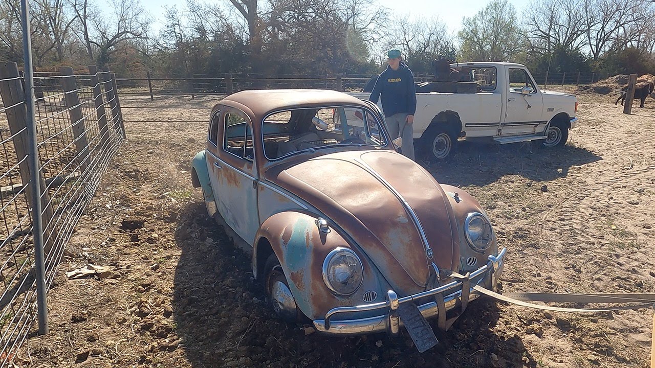 Forgotten Car Sitting for 31 years on a farm | 1962 VW Beetle Rescue