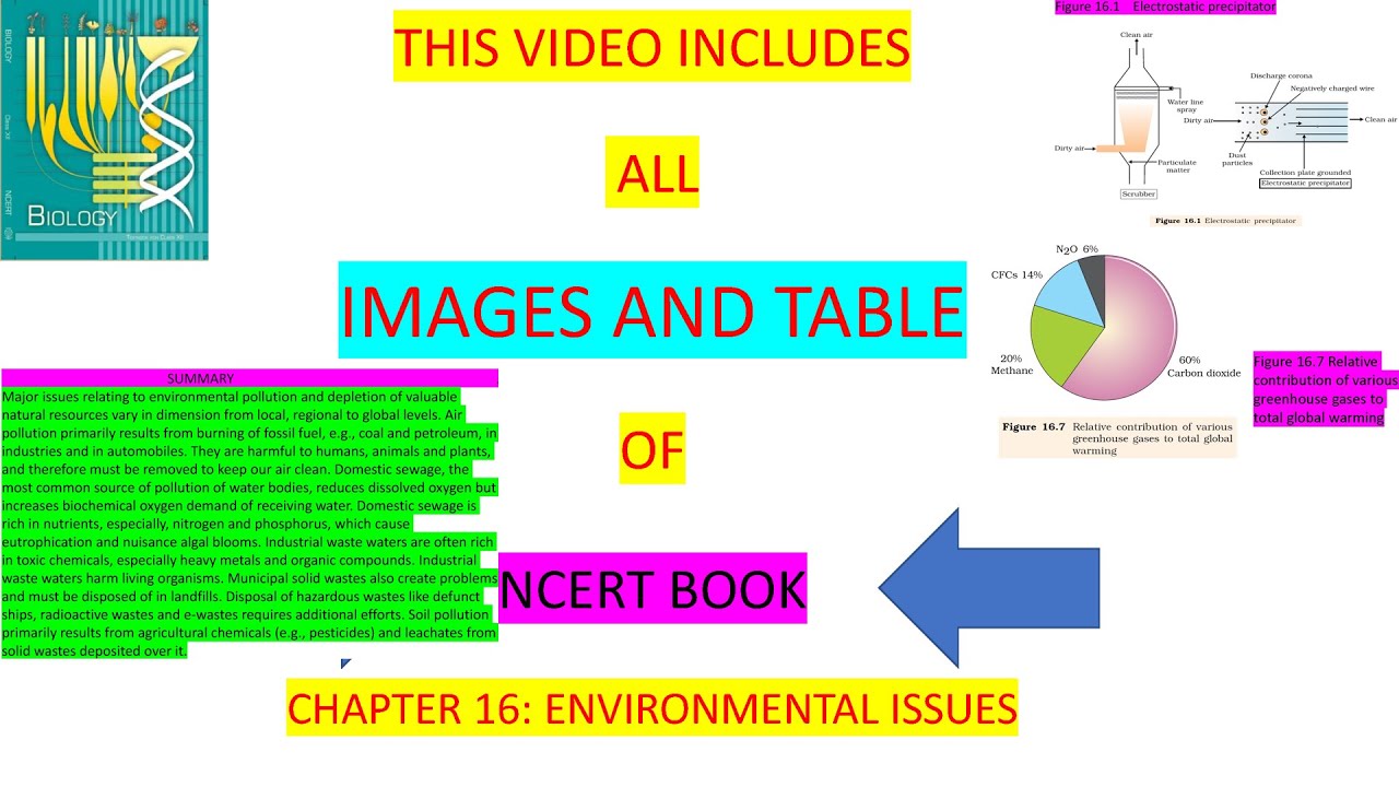 class 12 biology chapter 16 | ENVIRONMENTAL ISSUES | ncert all image | quick revision