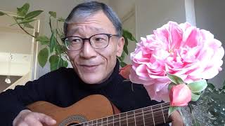 Bossa Nakane Lorane