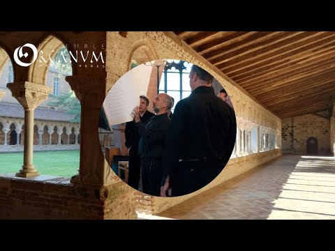 Comme and see-join us (Ensemble Organum)