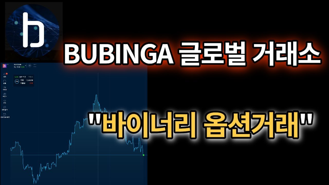 부빙가거래소 바이너리 옵션거래소, 주식, 화폐, 원자재, 지수 거래플랫폼(feat.BUBINGA) - YouTube