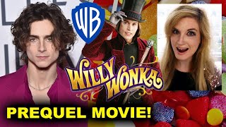 Famous Timothee Chalamet cast in Willy Wonka Prequel Profile