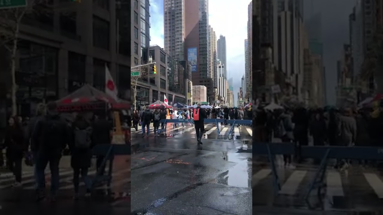 New York City 23st street fest 