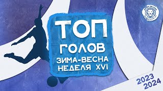 ТОП голов XVI игровой недели чемпионата зима-весна [09-10.03.24]