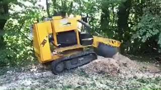 Stump Grinding Direct using a Predator 38 Rx