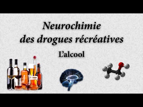 Neurochimie des drogues récréatives - L&rsquo;alcool (éthanol)