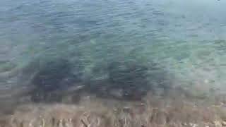 Poetto, Sardegna | The Best Place Of  Italy