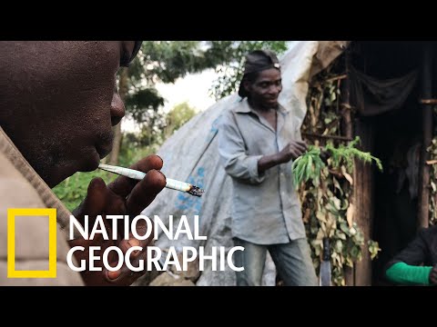 姆巴提族人的非法大麻事業《國家地理》雜誌