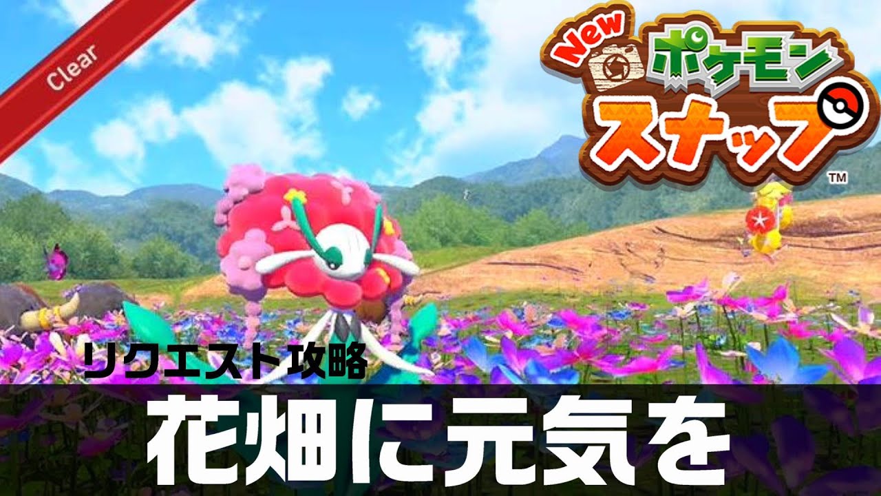 花畑に元気を Newポケモンスナップ リクエスト攻略 Youtube