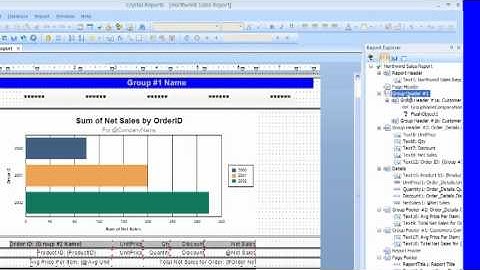 Crystal Beginner Report and Field Explorer